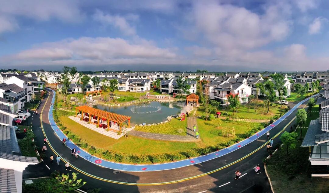 玫瑰新村-刘富成摄_20220810091230 - 副本-1.jpg